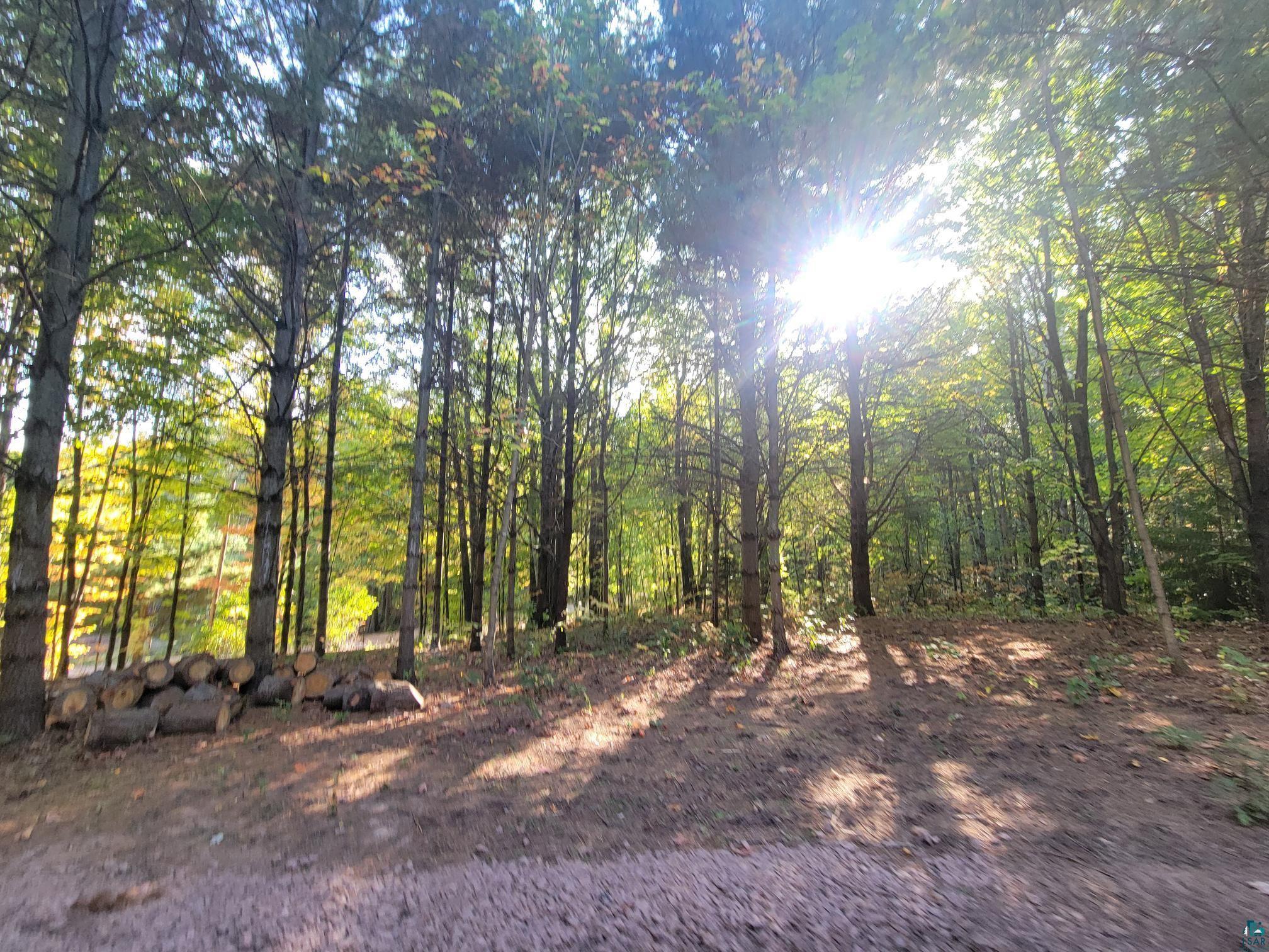 11xxx Old Military Rd, Bayfield, WI 54814 Listing Photo  6
