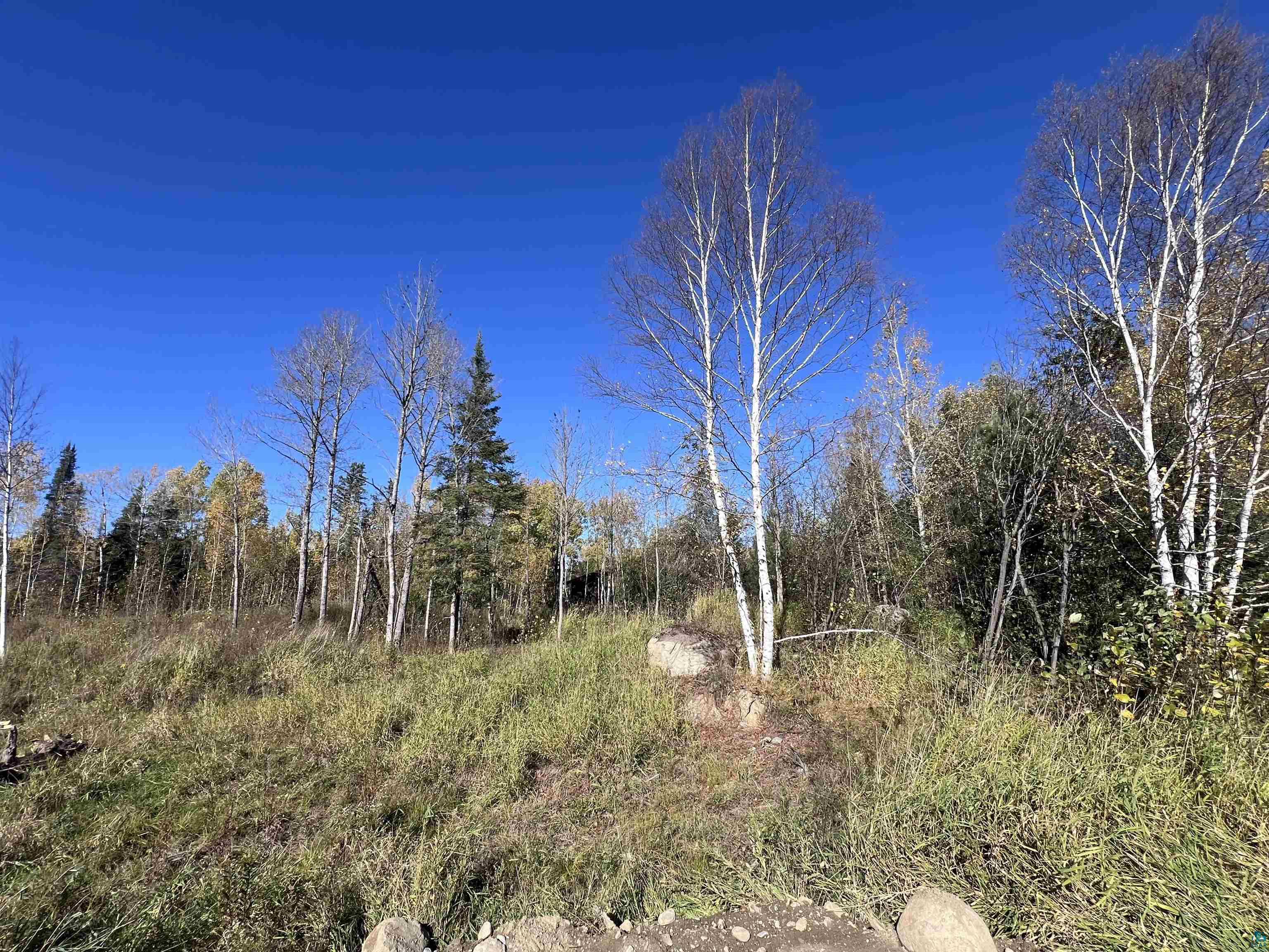 2231 Sibley Dr, Ely, MN 55731 Listing Photo  5