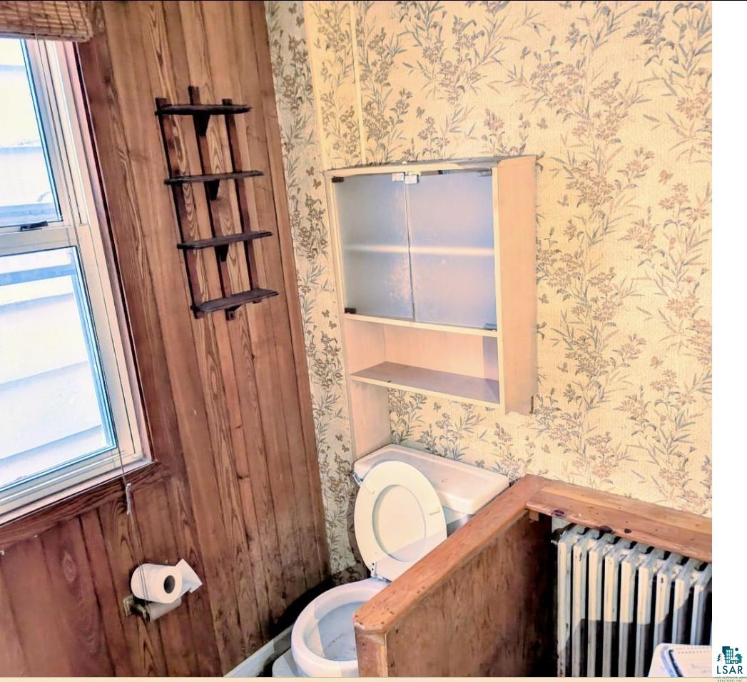 601 Hayes St, Eveleth, MN 55734 Listing Photo  11