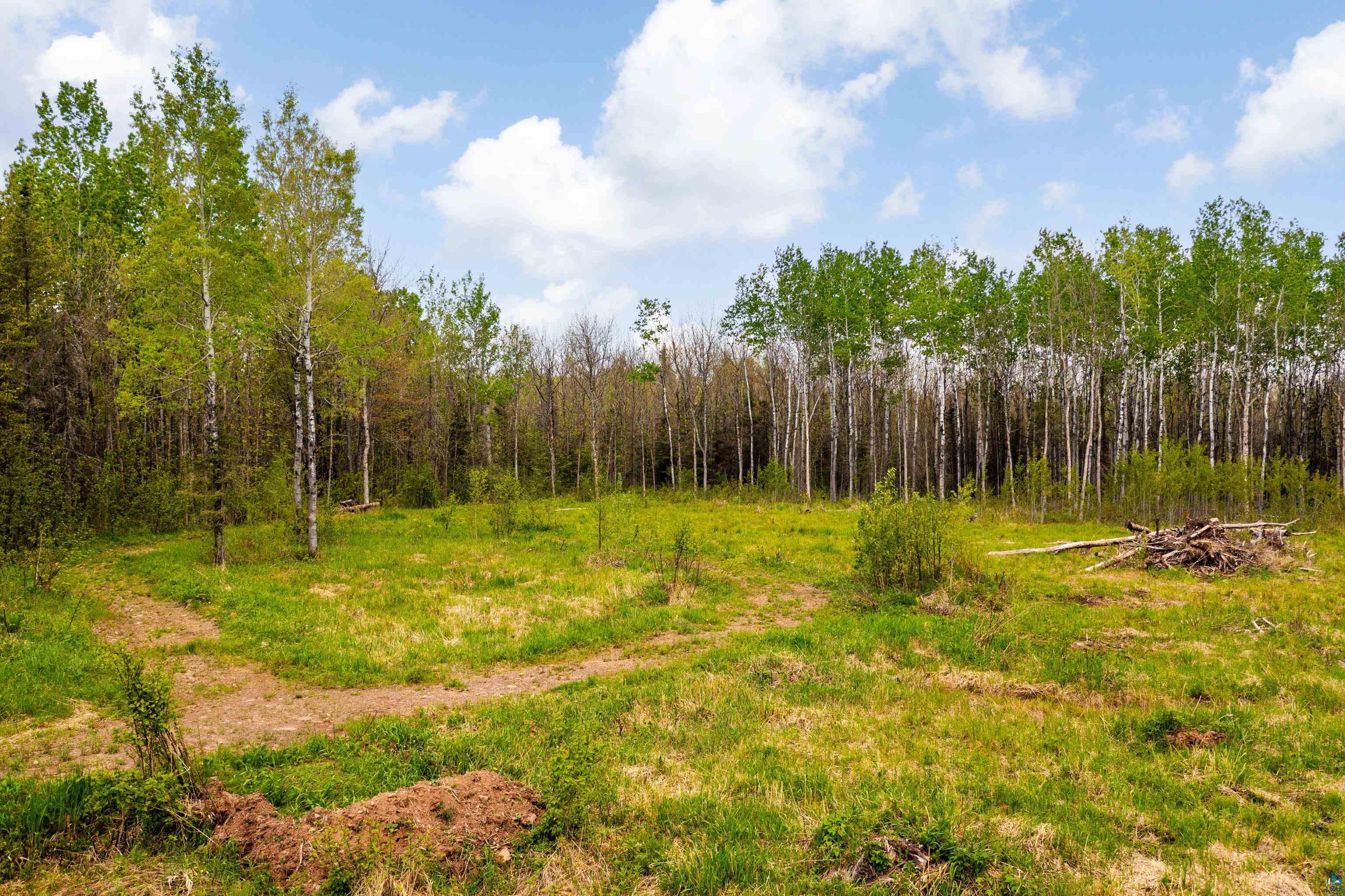 2597 Lauren Rd, Duluth, MN 55804 Listing Photo  16