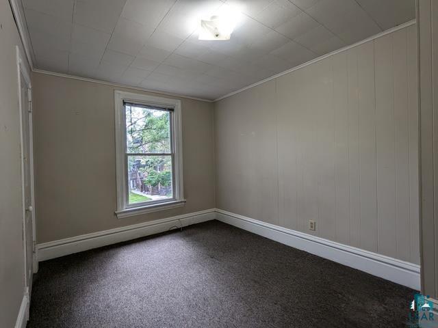 10-12 S 16th Ave E, Duluth, MN 55812 Listing Photo  30