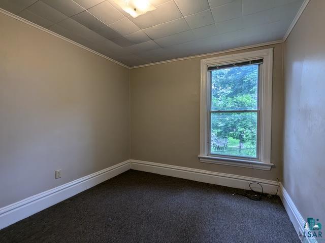 10-12 S 16th Ave E, Duluth, MN 55812 Listing Photo  33
