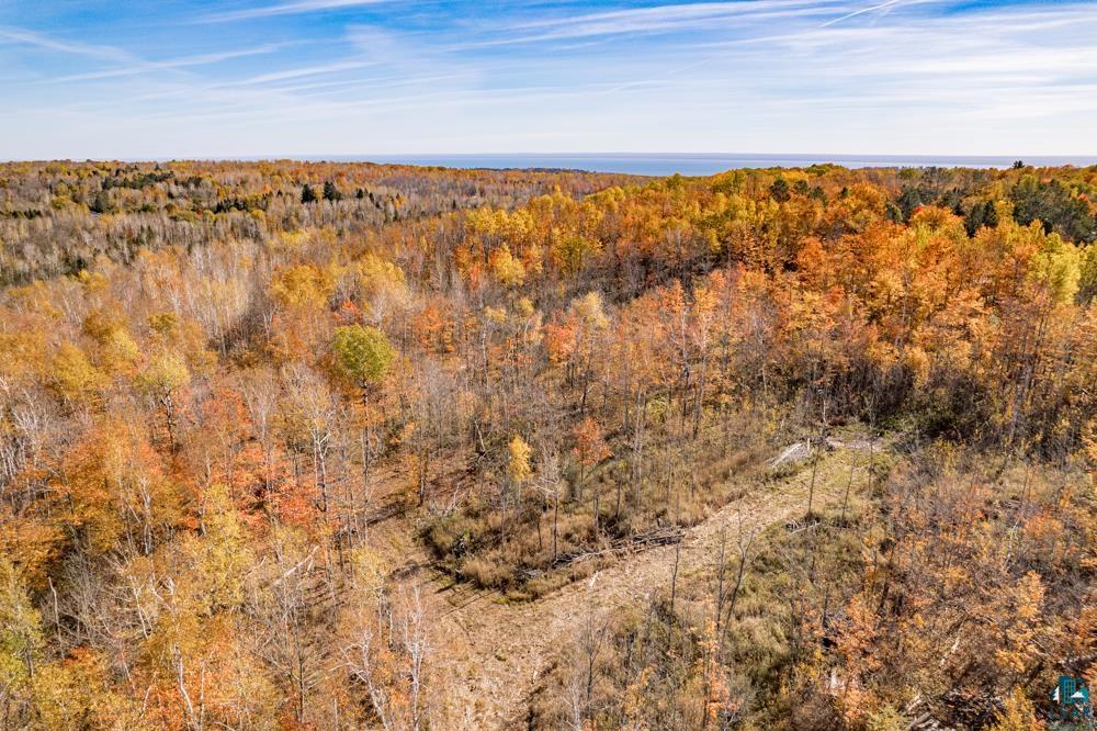 xxx Amity Drive, Duluth, MN 55803 Listing Photo  13