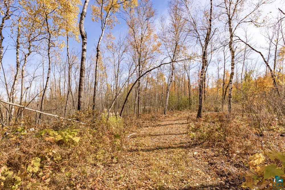 xxx Amity Drive, Duluth, MN 55803 Listing Photo  24