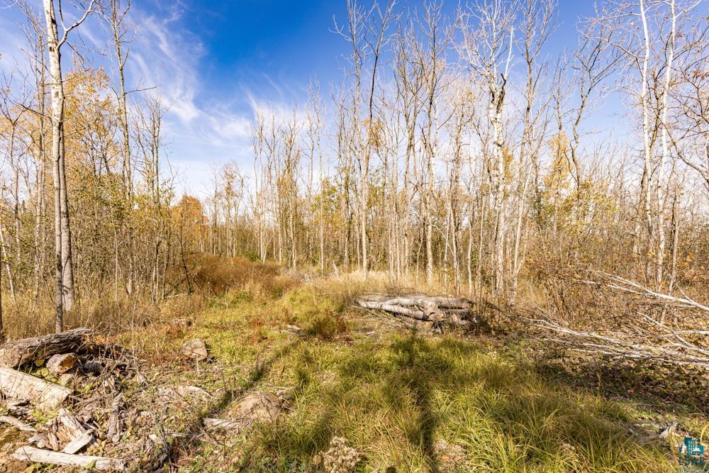 xxx Amity Drive, Duluth, MN 55803 Listing Photo  26