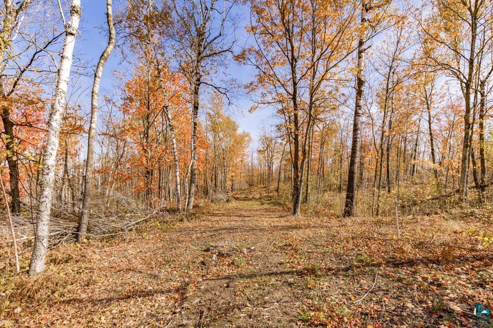 xxx Amity Drive, Duluth, MN 55803 Listing Photo  29