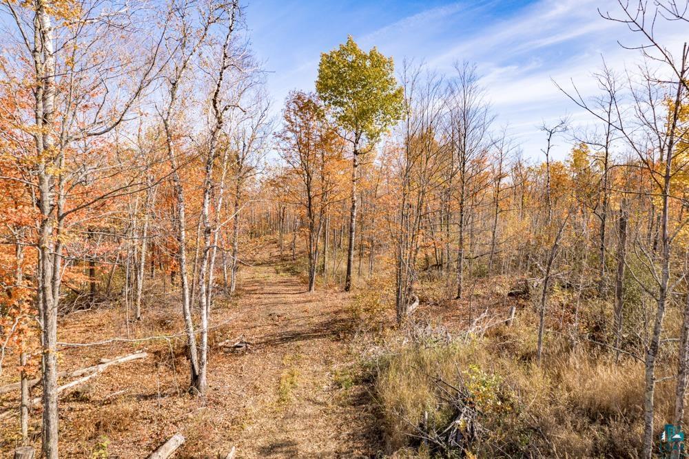 xxx Amity Drive, Duluth, MN 55803 Listing Photo  4