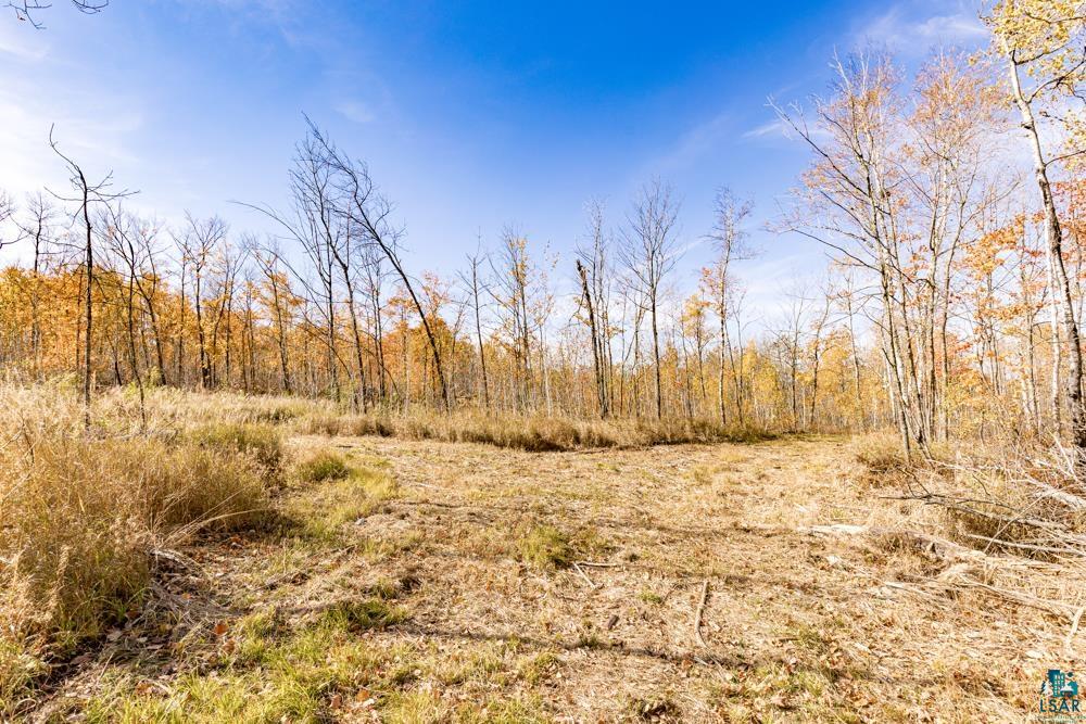 xxx Amity Drive, Duluth, MN 55803 Listing Photo  32