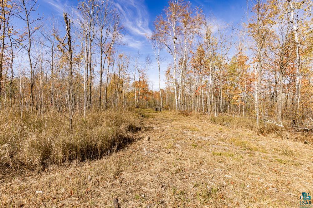 xxx Amity Drive, Duluth, MN 55803 Listing Photo  35