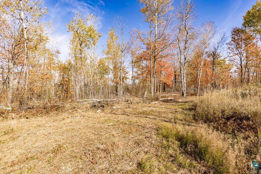 xxx Amity Drive, Duluth, MN 55803 Listing Photo  36