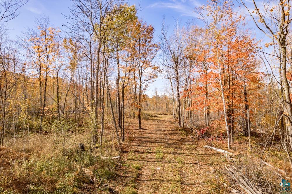 xxx Amity Drive, Duluth, MN 55803 Listing Photo  6