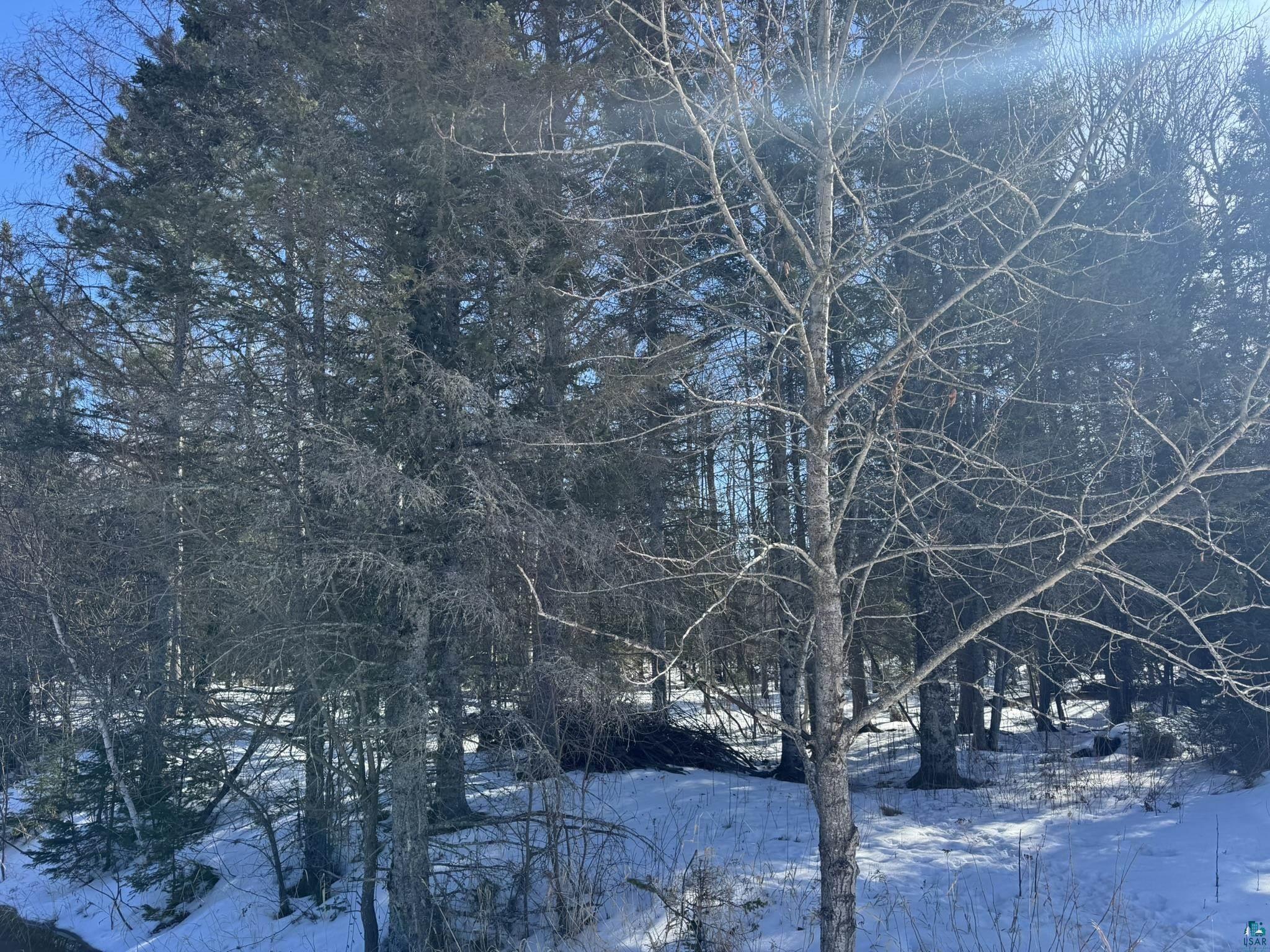 812 Old Drummond Rd, Two Harbors, MN 55616 Listing Photo  6