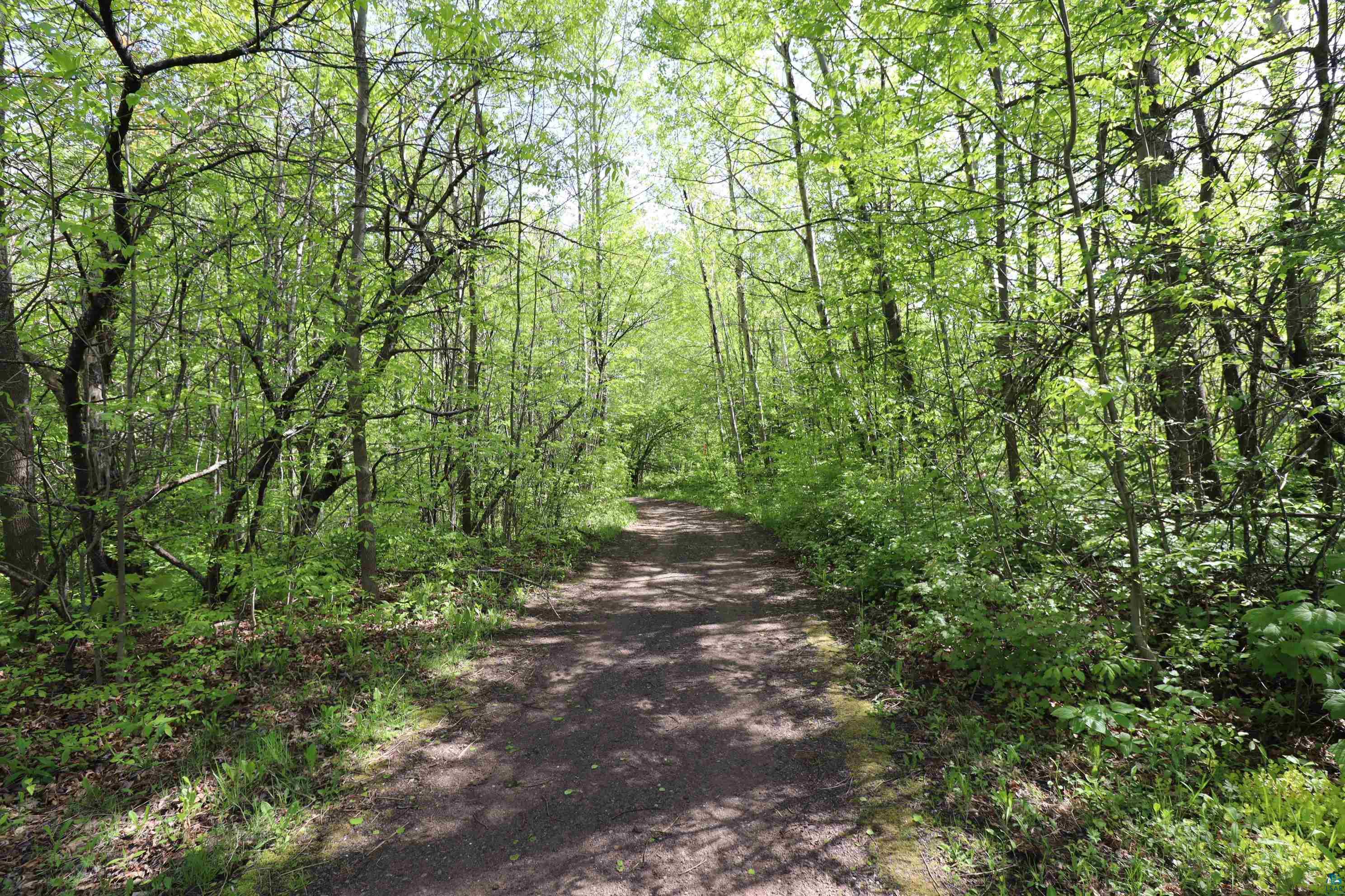 Lots 19 & 38 Eagle Run, Bayfield, WI 54814 Listing Photo  25