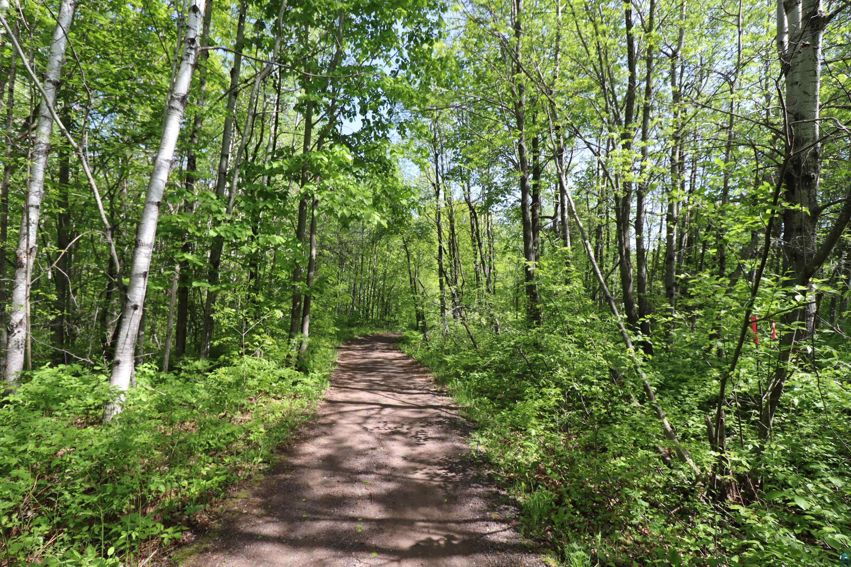 Lots 19 & 38 Eagle Run, Bayfield, WI 54814 Listing Photo  27