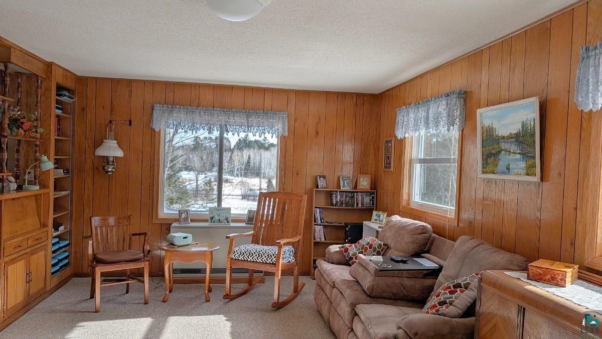 4477 Hitchcock Rd, Orr, MN 55771 Listing Photo  8