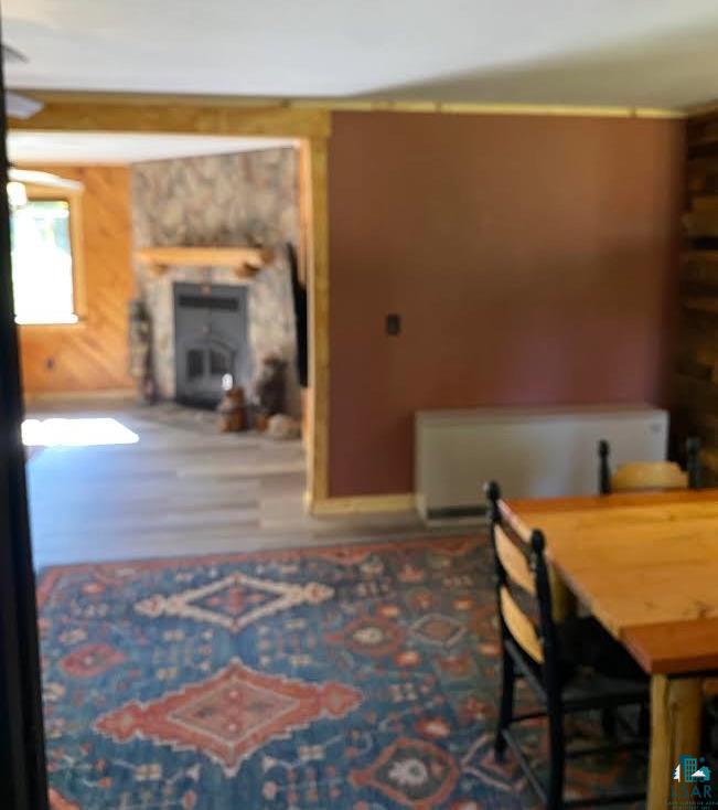 1896 Echo Tr, Ely, MN 55731 Listing Photo  8