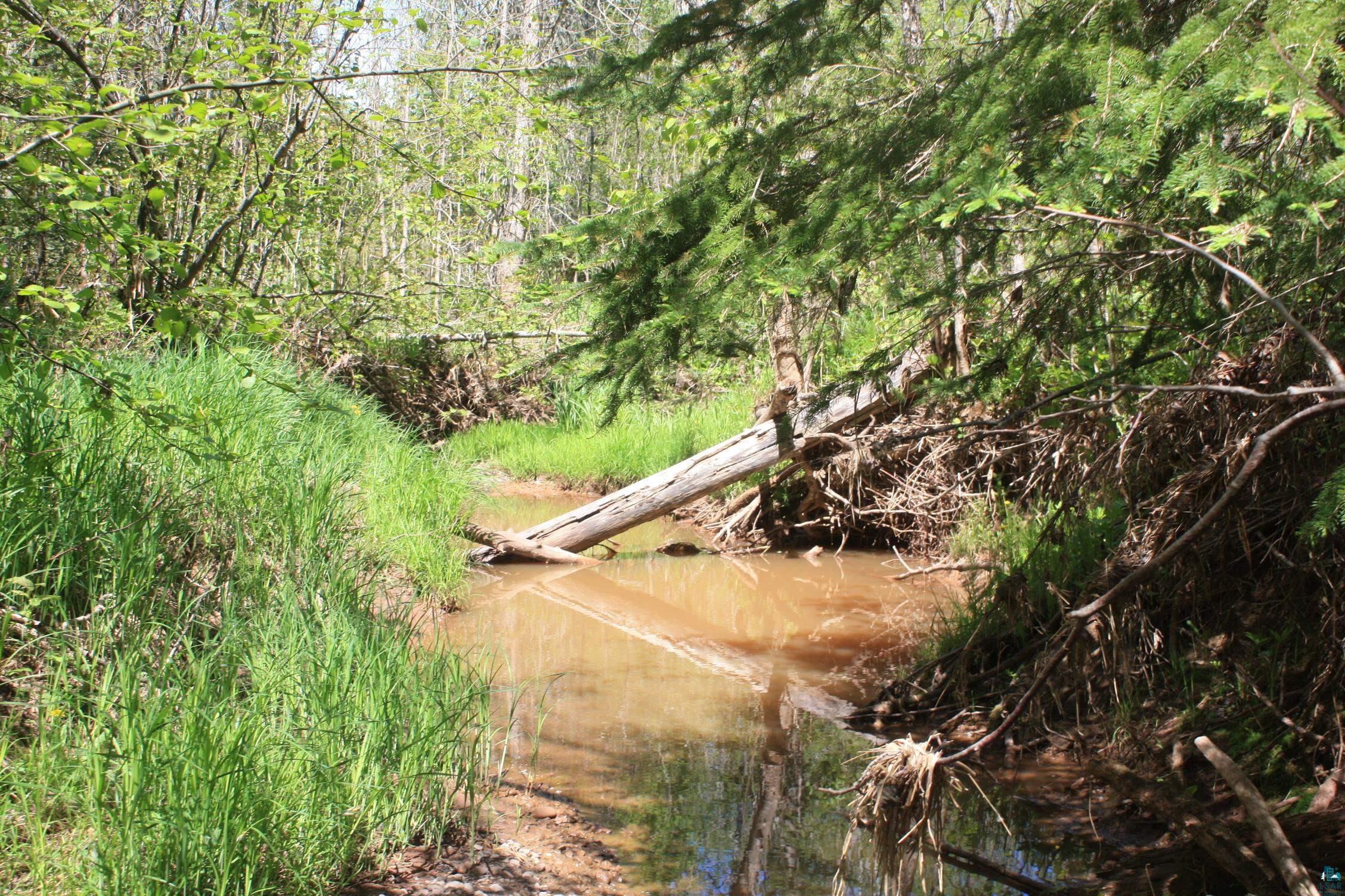 7195 E State Hwy 13, South Range, WI 54874 Listing Photo  91
