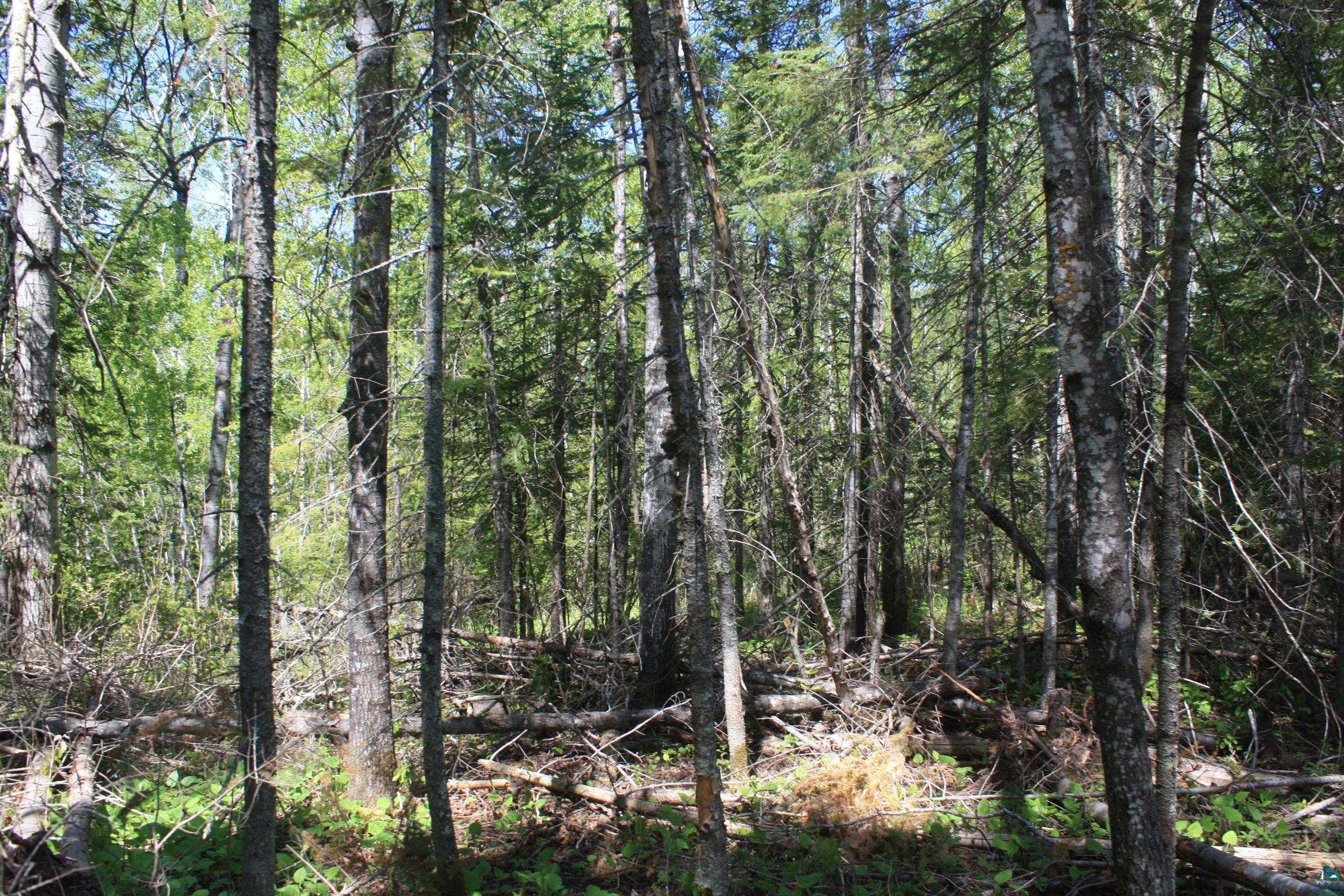 7195 E State Hwy 13, South Range, WI 54874 Listing Photo  92