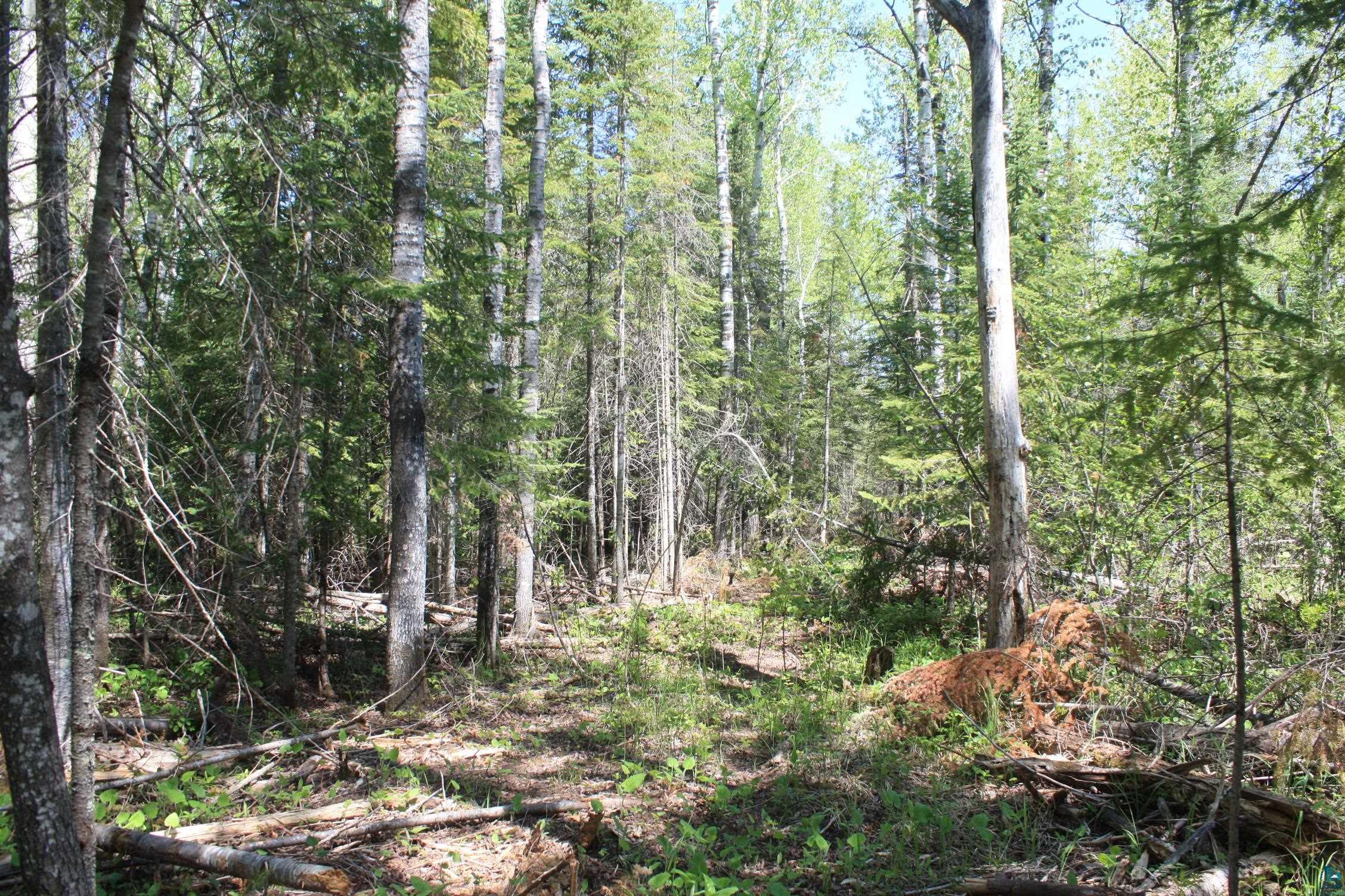 7195 E State Hwy 13, South Range, WI 54874 Listing Photo  93