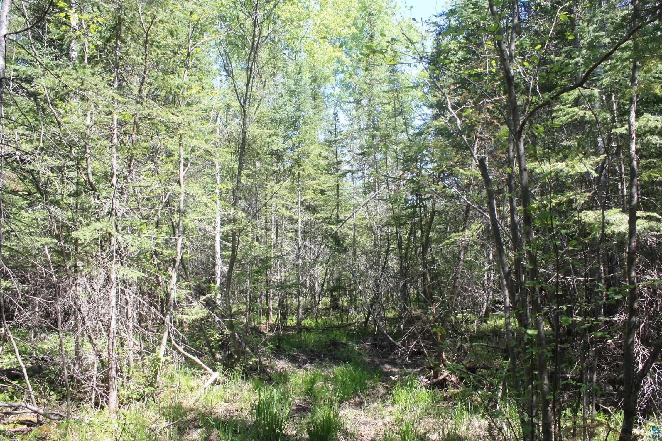 7195 E State Hwy 13, South Range, WI 54874 Listing Photo  96
