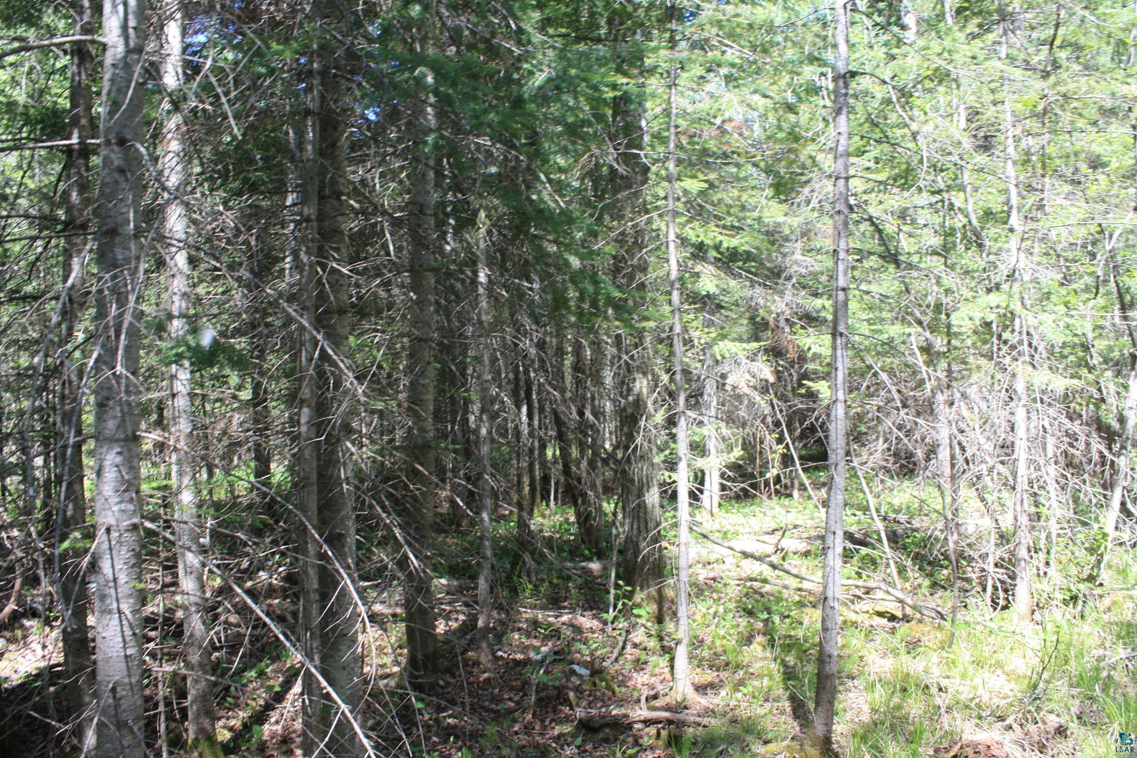 7195 E State Hwy 13, South Range, WI 54874 Listing Photo  97