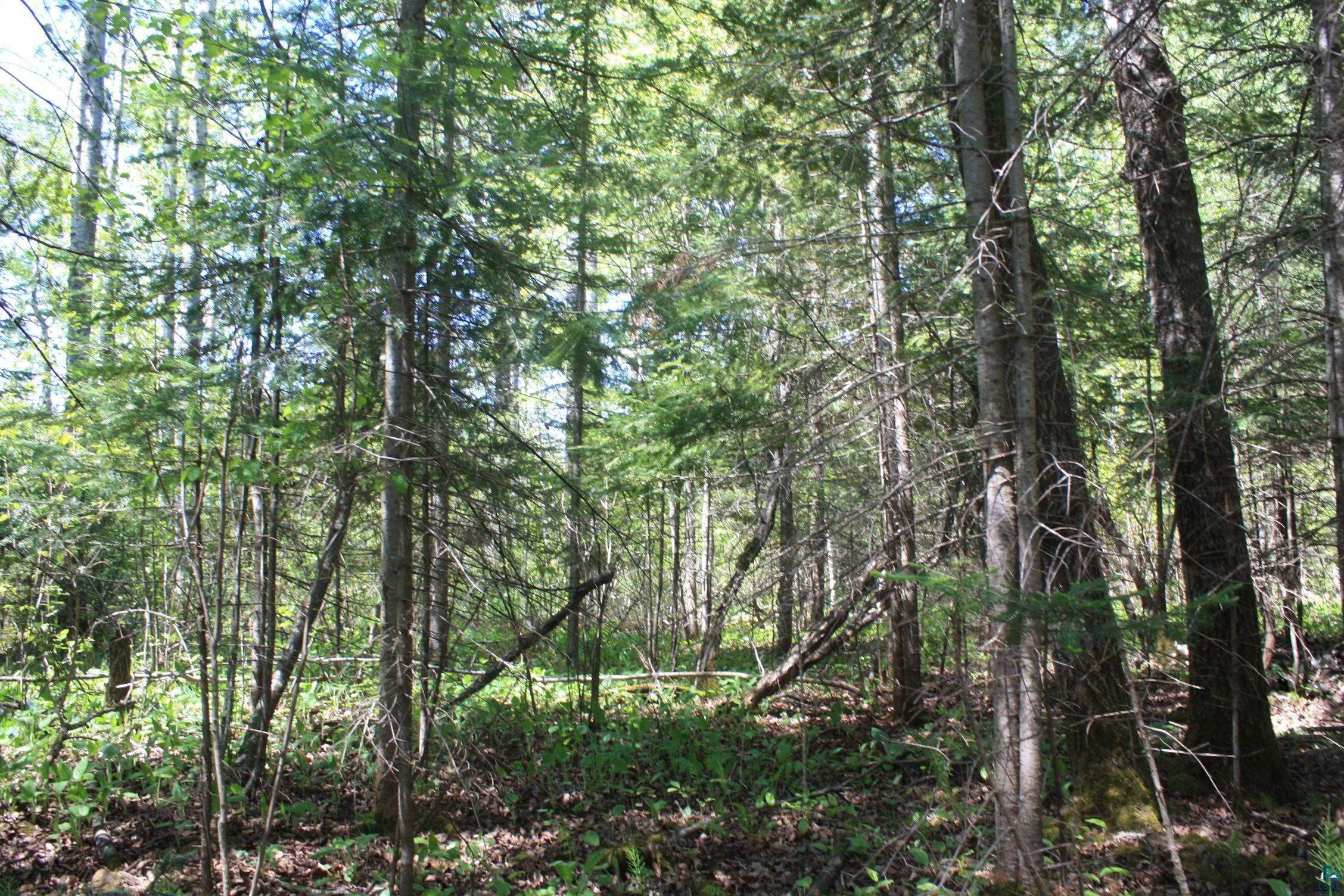 7195 E State Hwy 13, South Range, WI 54874 Listing Photo  98