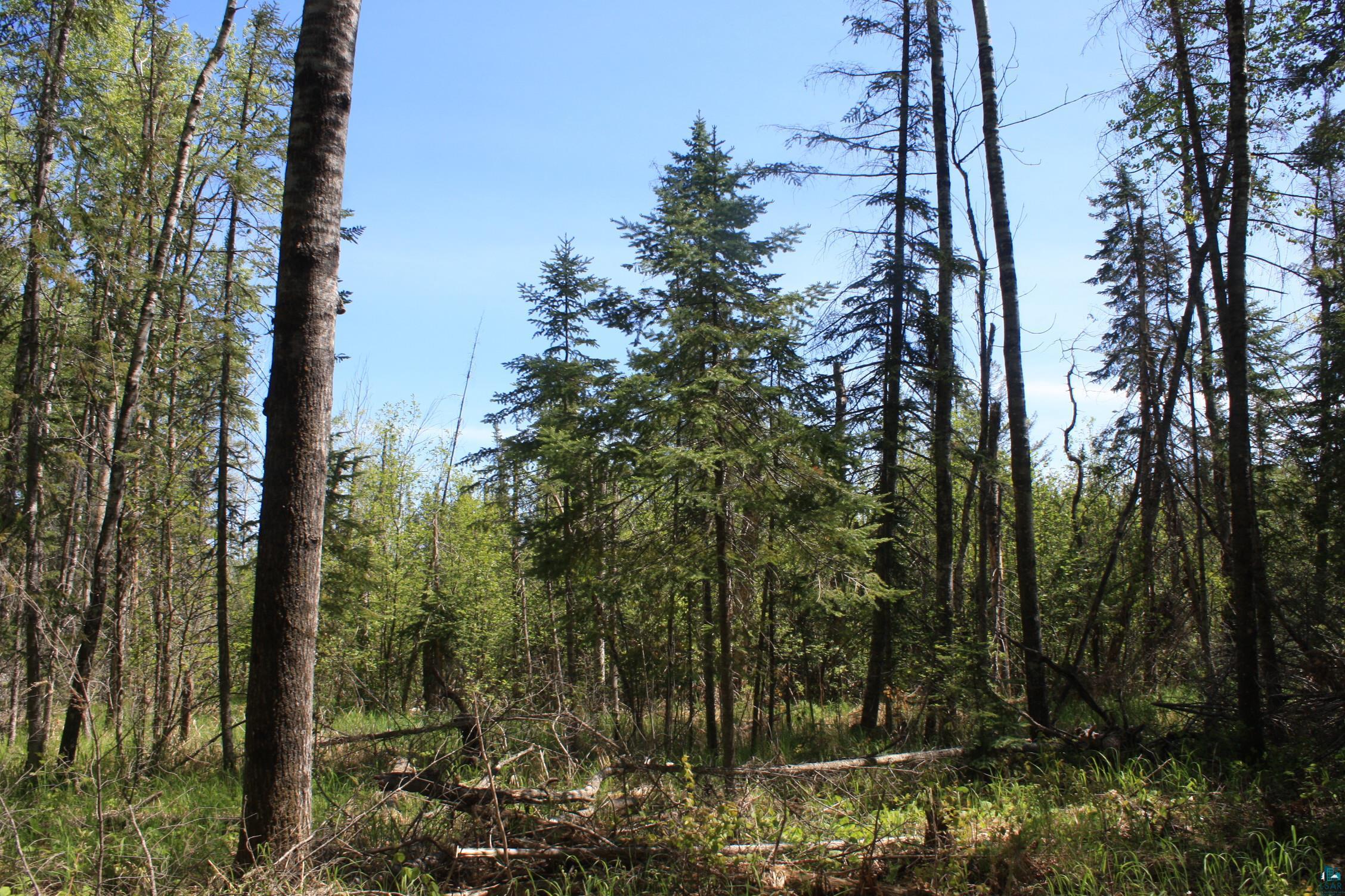 7195 E State Hwy 13, South Range, WI 54874 Listing Photo  99
