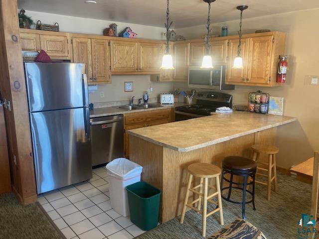 1590 Superior Shores, ##107, Two Harbors, MN 55616 Listing Photo  5