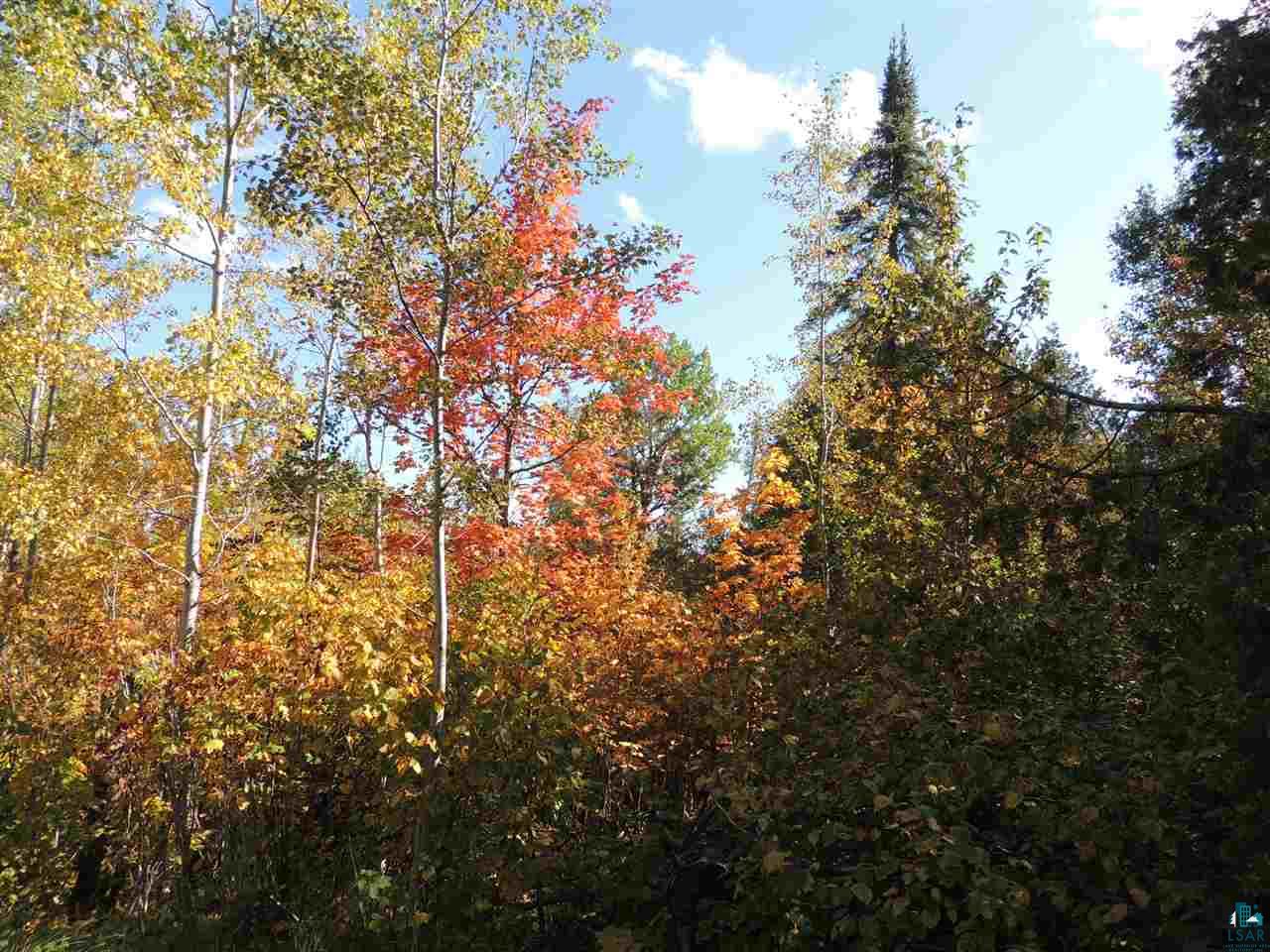 X30 Isak Ridge Rd, Lutsen, MN 55612 Listing Photo  2