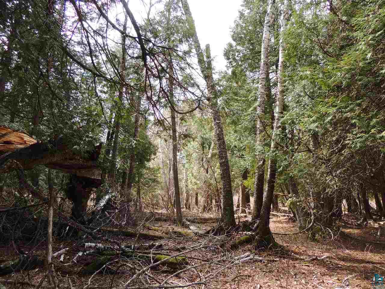 X30 Isak Ridge Rd, Lutsen, MN 55612 Listing Photo  12
