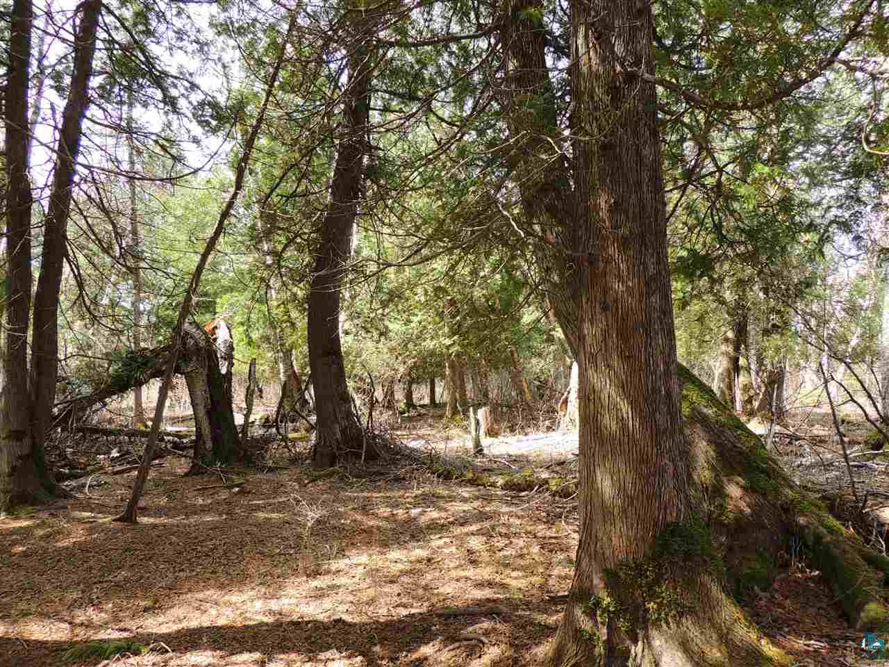 X30 Isak Ridge Rd, Lutsen, MN 55612 Listing Photo  3