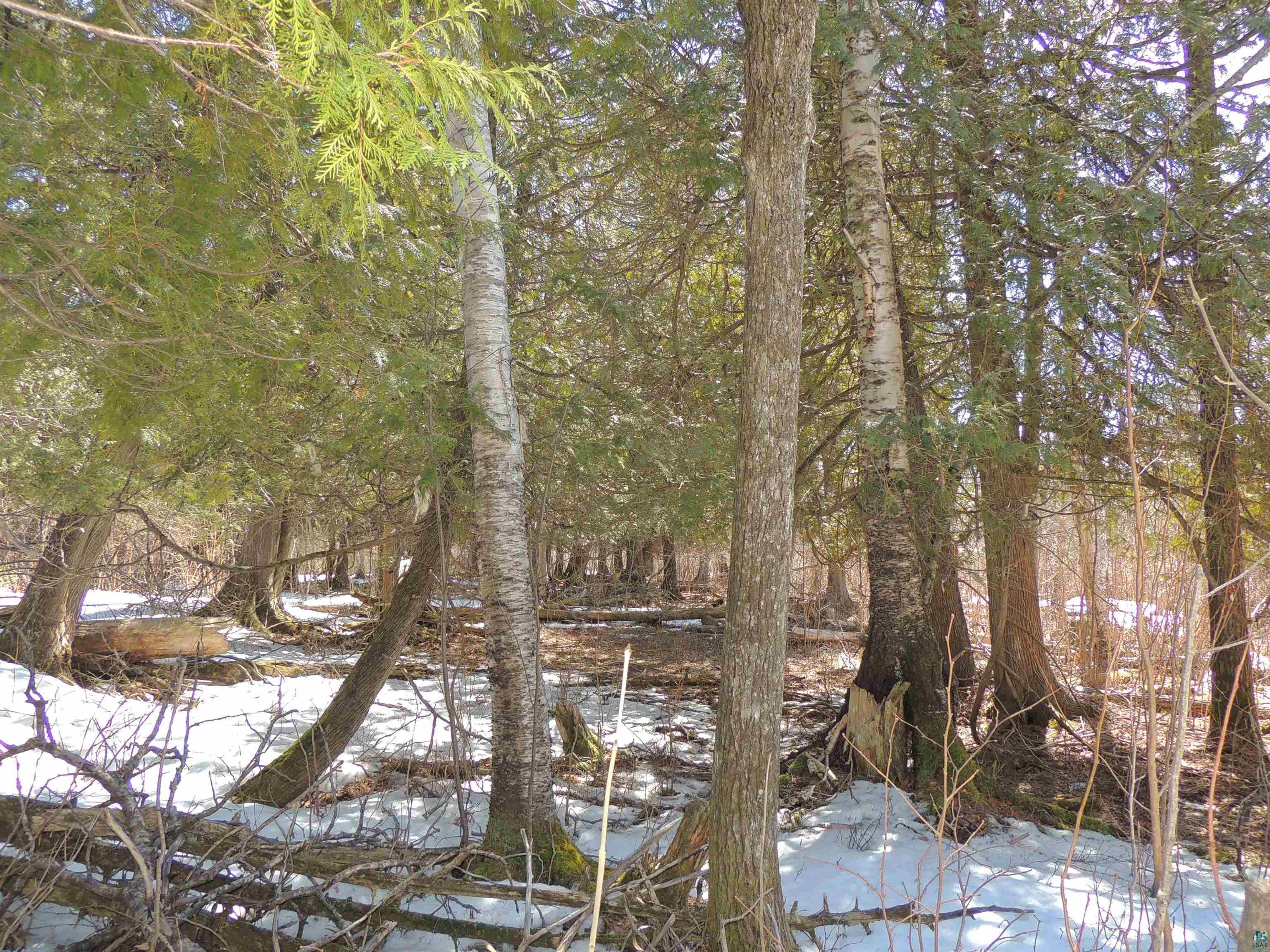 X30 Isak Ridge Rd, Lutsen, MN 55612 Listing Photo  23