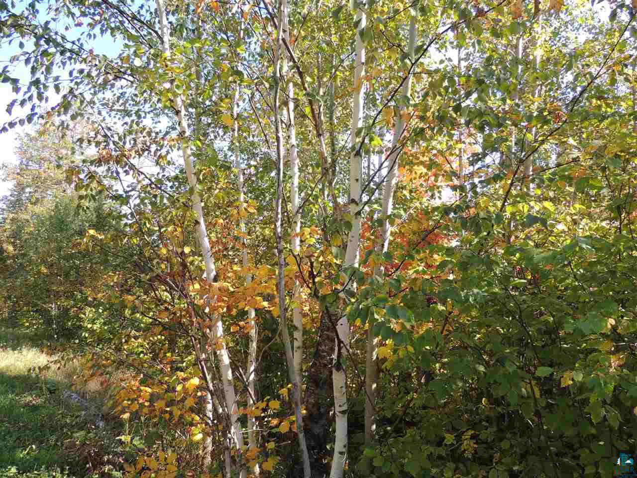 X30 Isak Ridge Rd, Lutsen, MN 55612 Listing Photo  4