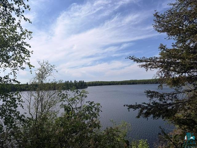 14649 Canadian Border Rd, Ely, MN 55731 Listing Photo  5