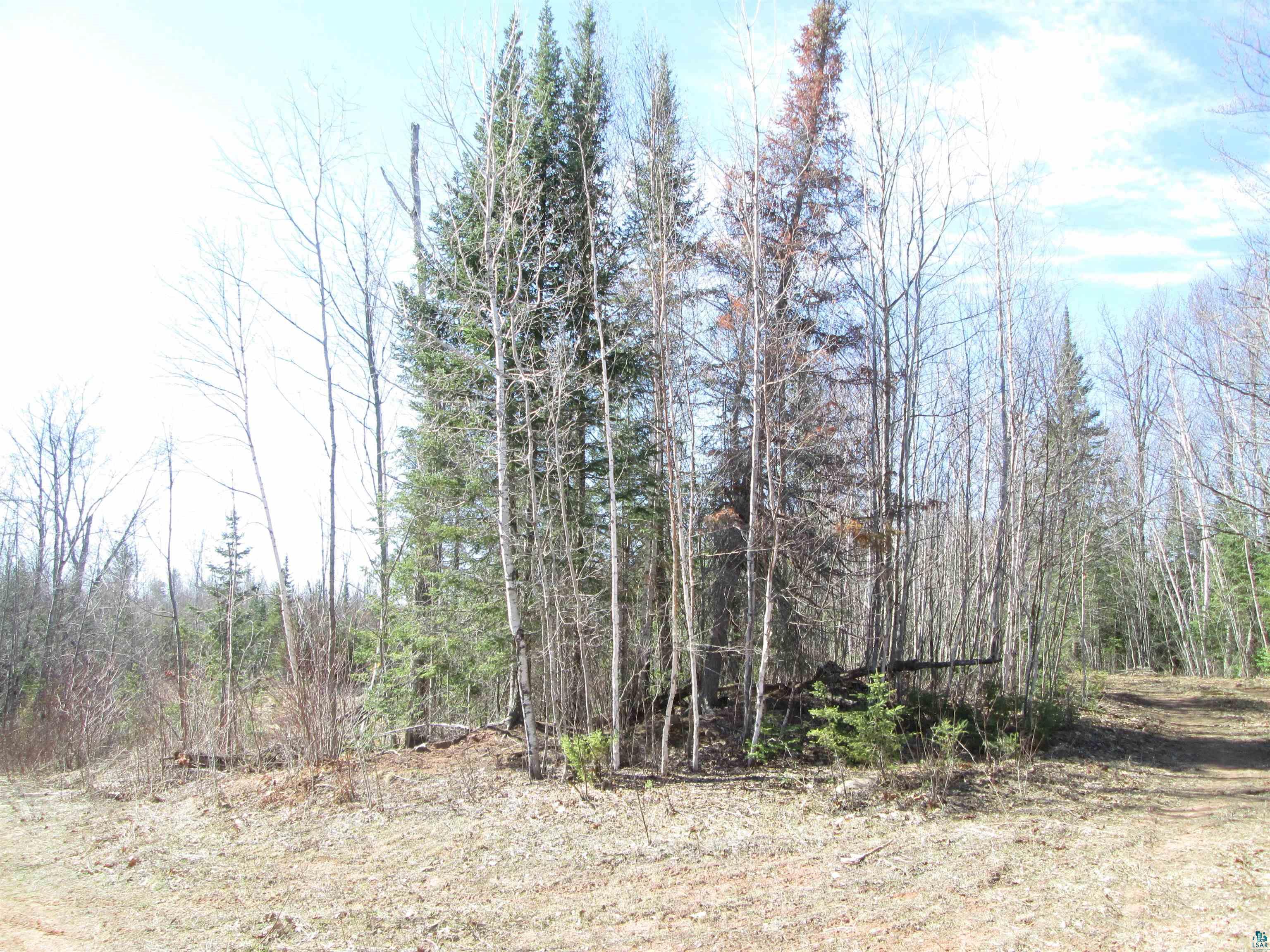 Lot 2 40 acres County Rd L, South Range, WI 54874 Listing Photo  12