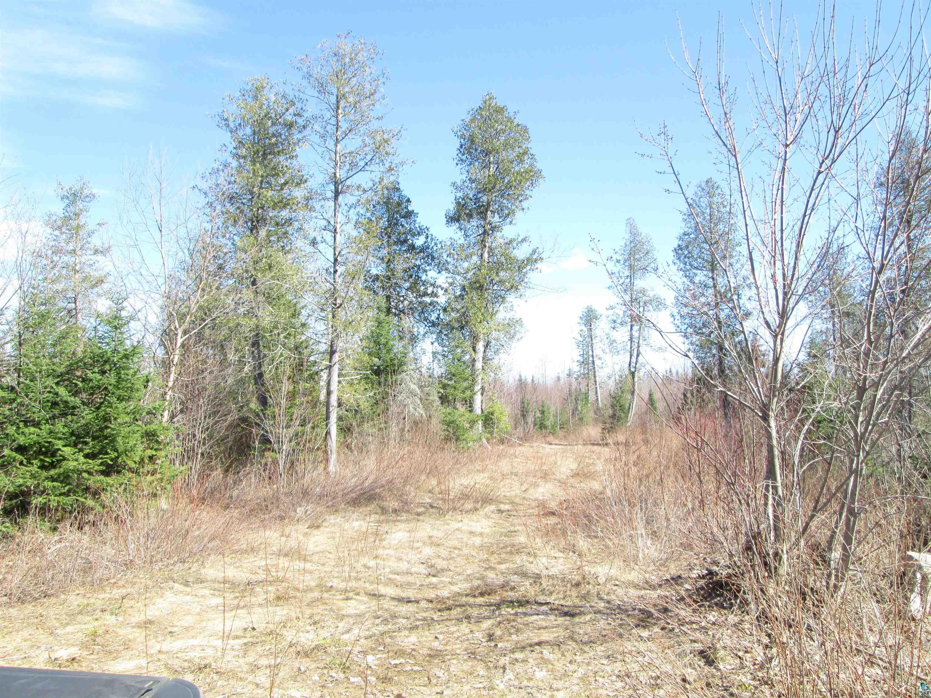 Lot 2 40 acres County Rd L, South Range, WI 54874 Listing Photo  29