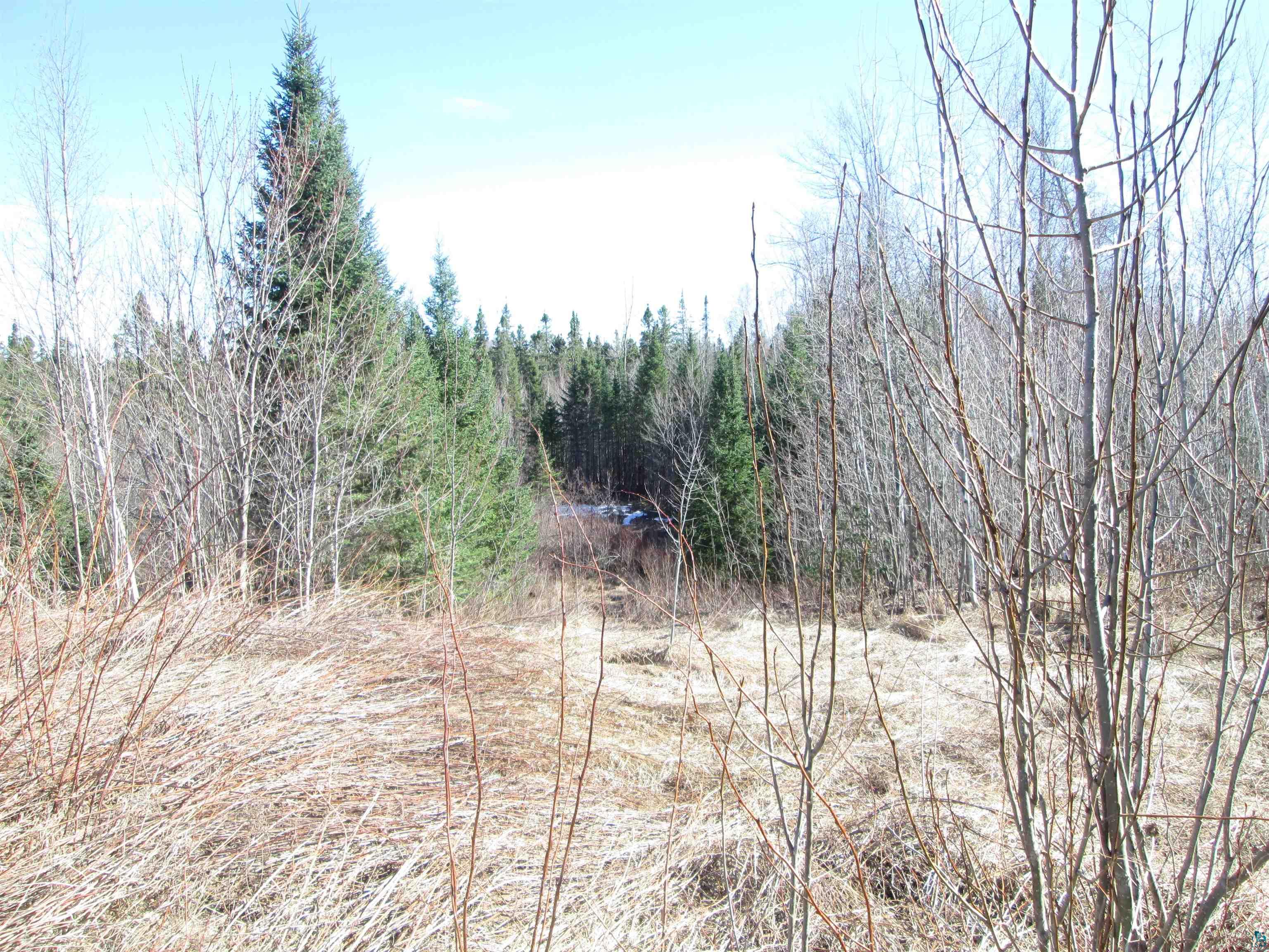 Lot 1 40 acres County Rd L, South Range, WI 54874 Listing Photo  30