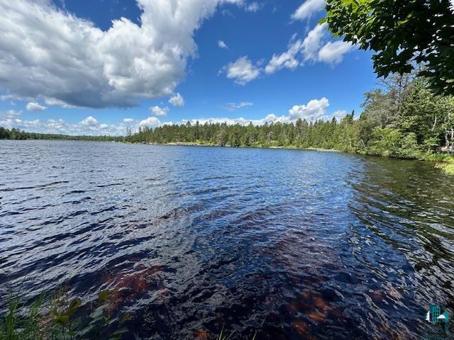 1804 North Bay Rd, Ely, MN 55731-0000 Listing Photo  17