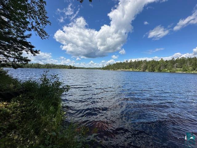 1804 North Bay Rd, Ely, MN 55731-0000 Listing Photo  21