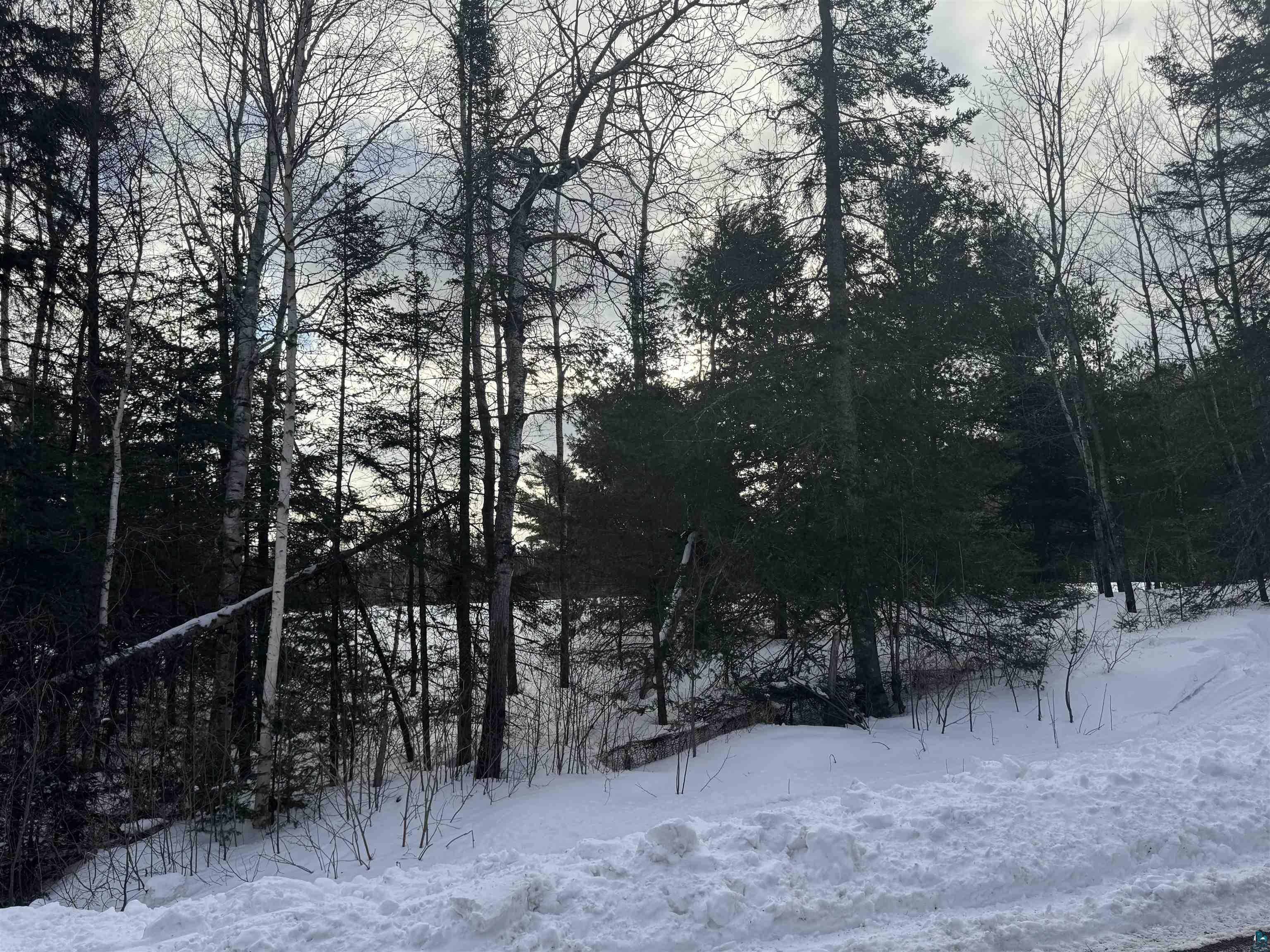XXX A Locust Rd, Duluth, MN 55803 Listing Photo  4