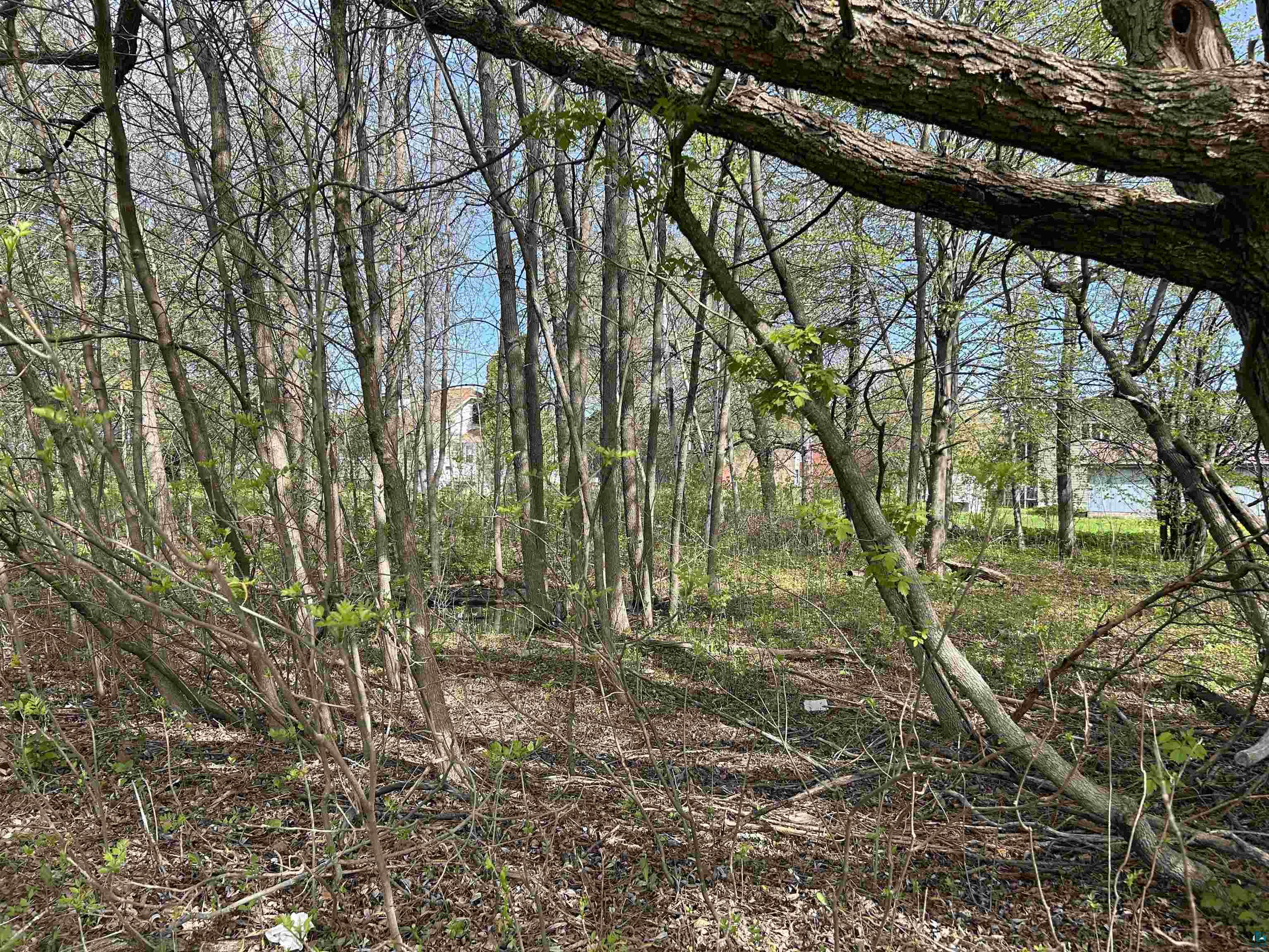 13xx 99th Ave W, Duluth, MN 55808 Listing Photo  1