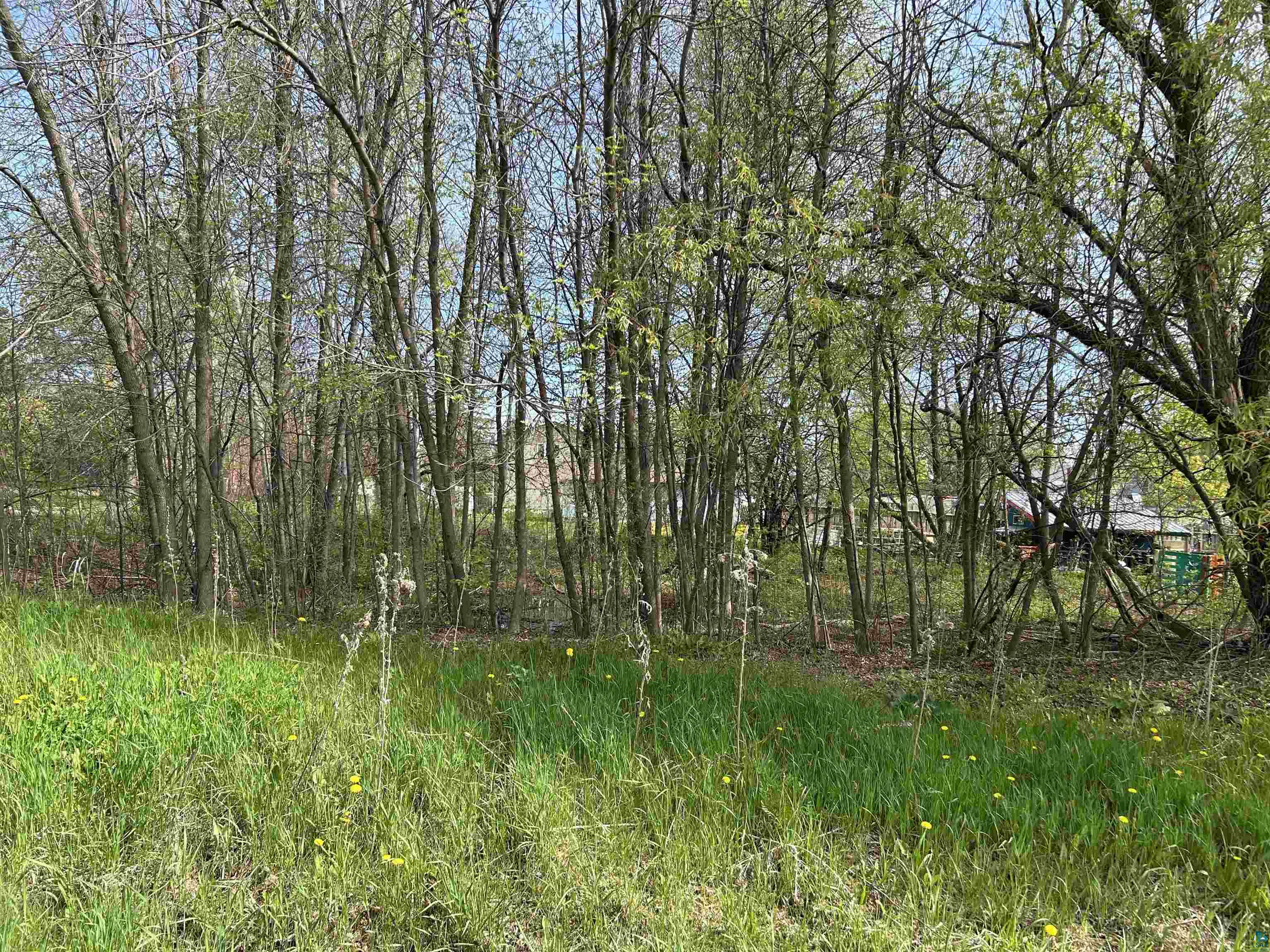 13xx 99th Ave W, Duluth, MN 55808 Listing Photo  2
