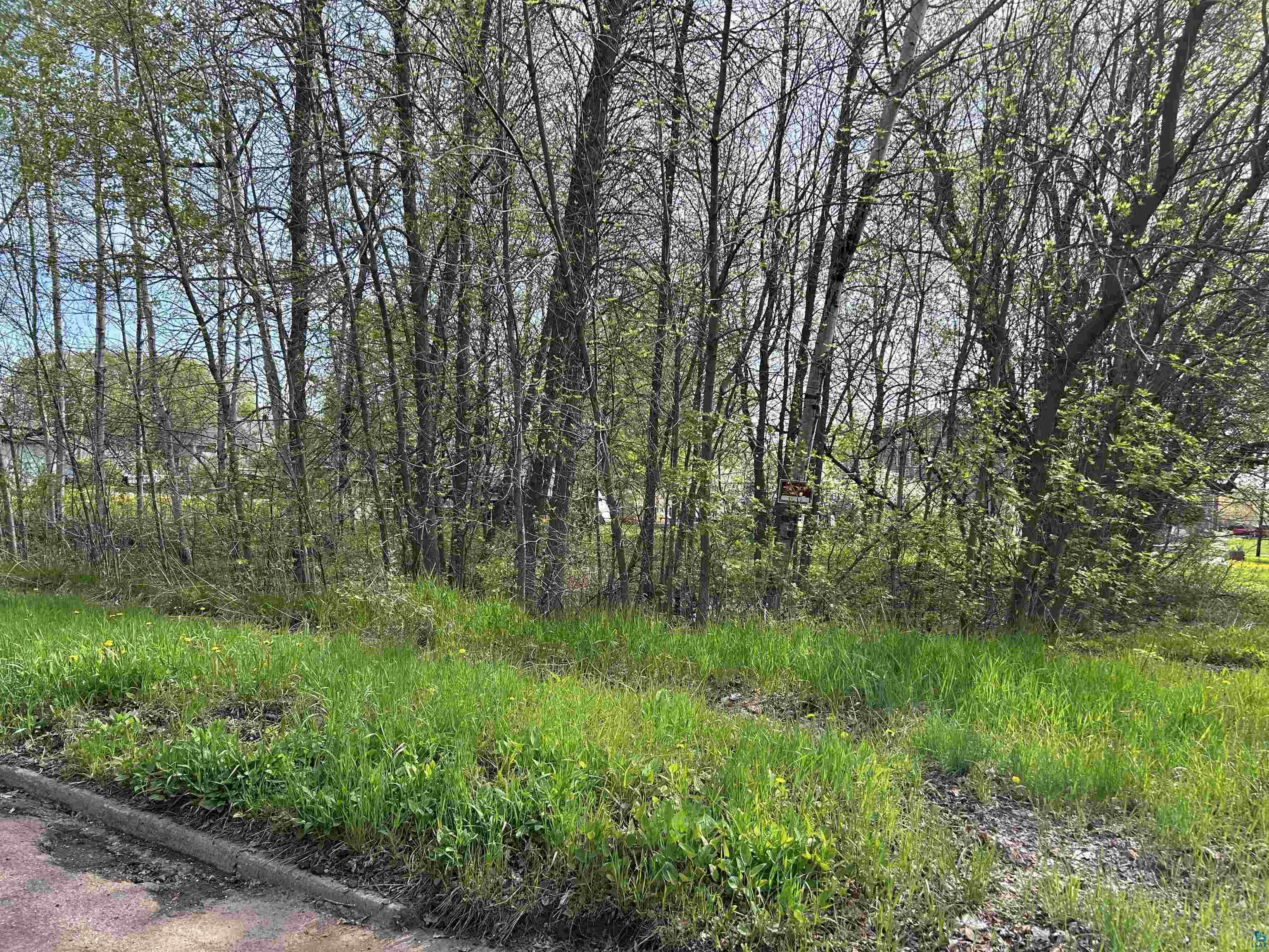 13xx 99th Ave W, Duluth, MN 55808 Listing Photo  3
