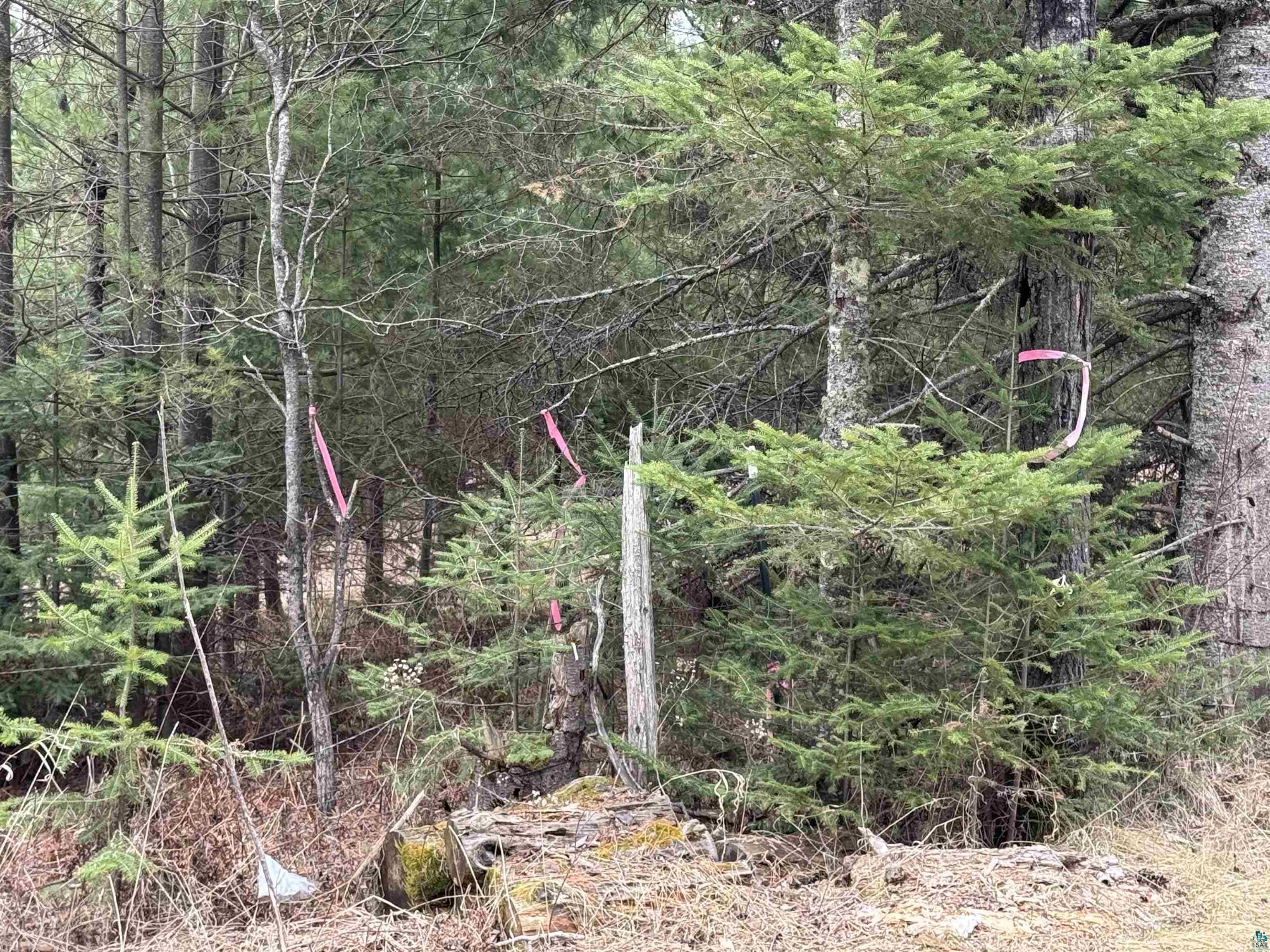 XXX B Locust Rd, Duluth, MN 55803 Listing Photo  1