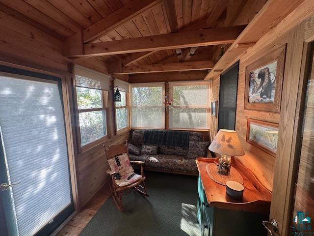2734 Bear Island River Rd, Ely, MN 55731-0000 Listing Photo  11