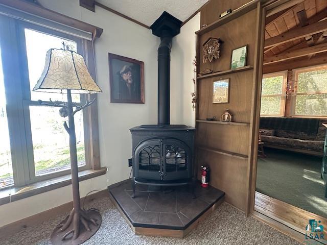 2734 Bear Island River Rd, Ely, MN 55731-0000 Listing Photo  14