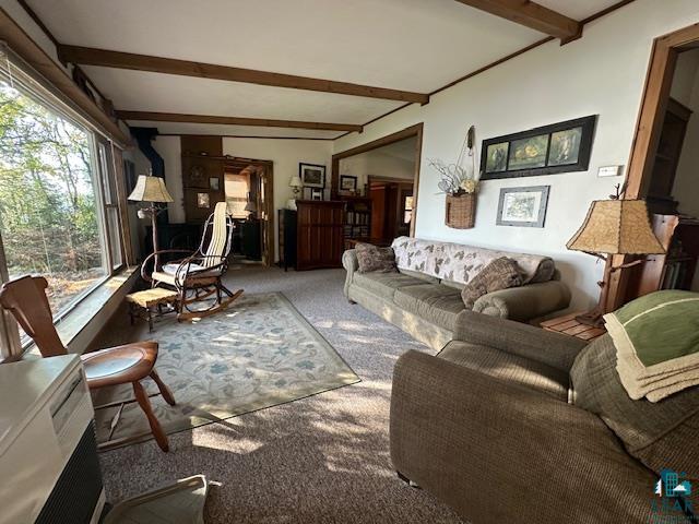 2734 Bear Island River Rd, Ely, MN 55731-0000 Listing Photo  17