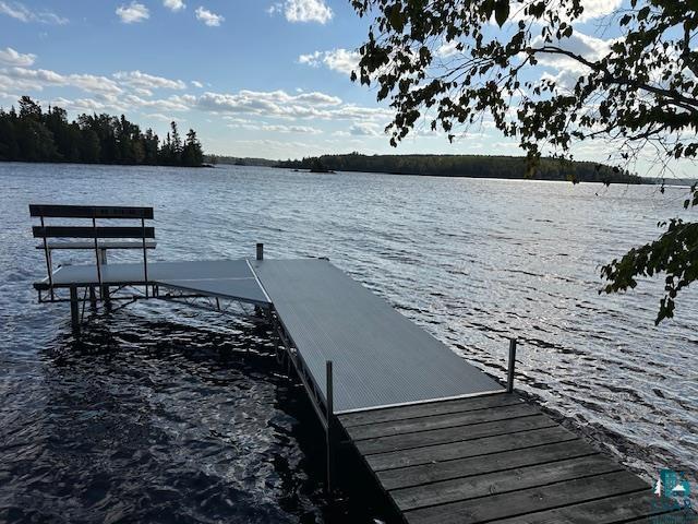 2734 Bear Island River Rd, Ely, MN 55731-0000 Listing Photo  19