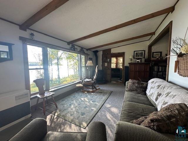 2734 Bear Island River Rd, Ely, MN 55731-0000 Listing Photo  21