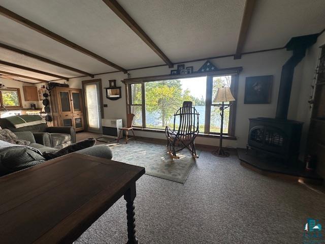 2734 Bear Island River Rd, Ely, MN 55731-0000 Listing Photo  23